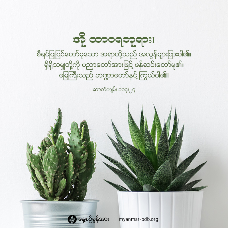 share-odb-2019-02-24-mm share-odb-2019-02-24-mm