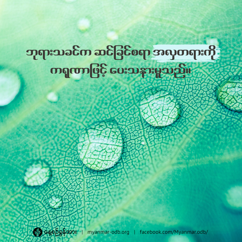 share_odb_2019-04-27-mm share_odb_2019-04-27-mm