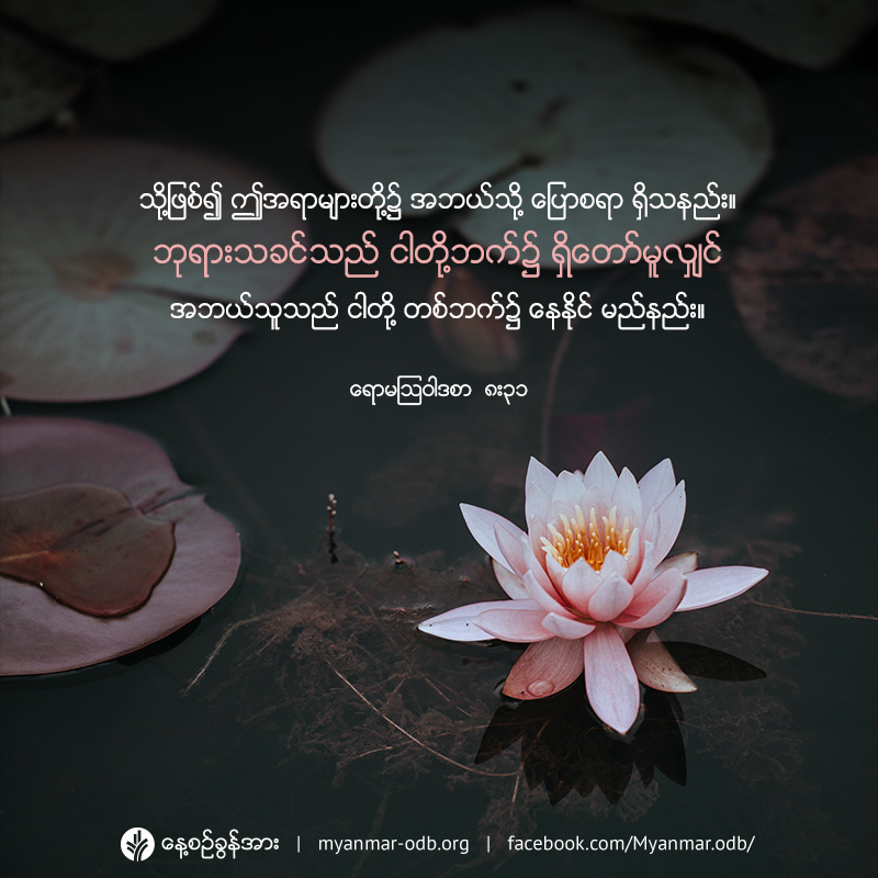 share_odb_2019-08-30-mm share_odb_2019-08-30-mm