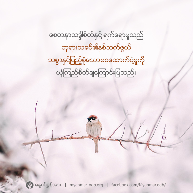 share_odb_2019-05-31-mm share_odb_2019-05-31-mm