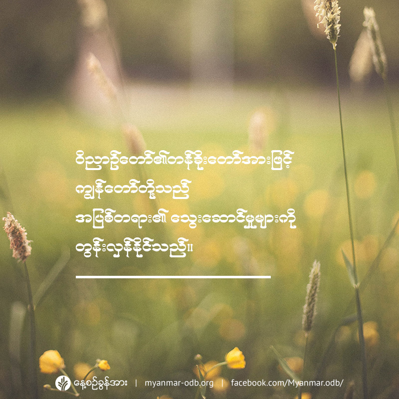 share_odb_2019-10-02-mm