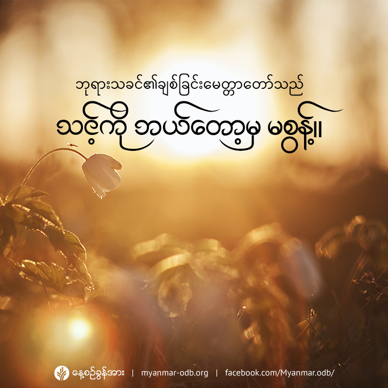 share_odb_2021-02-28-mm share_odb_2021-02-28-mm