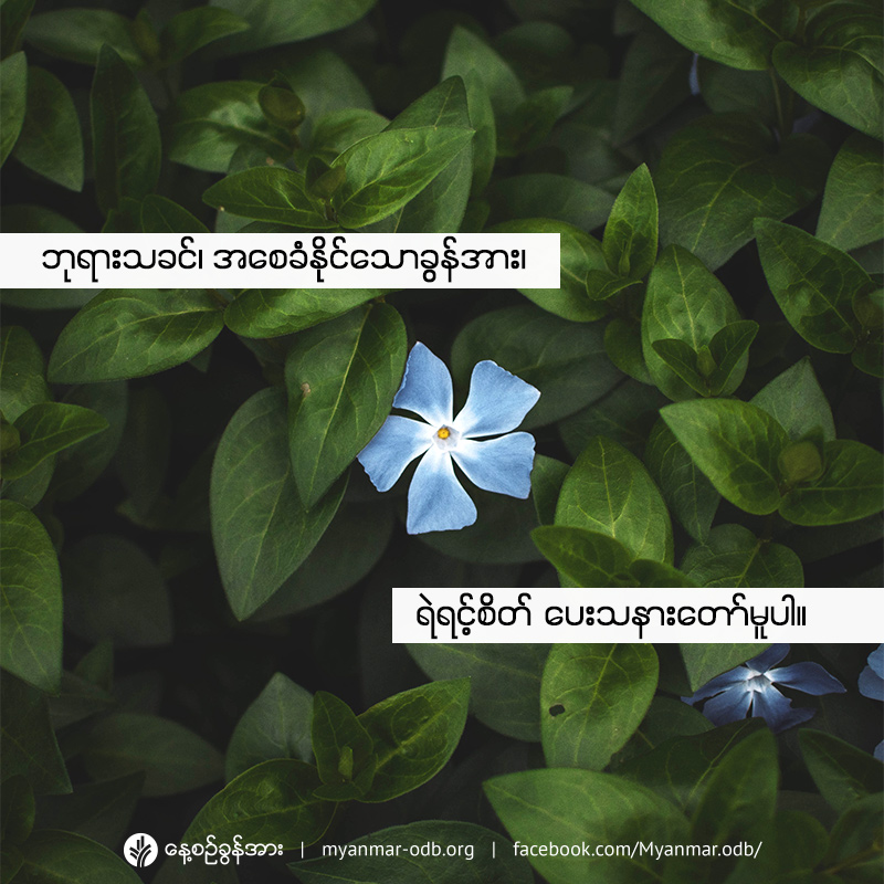 share_odb_2021-04-12-mm