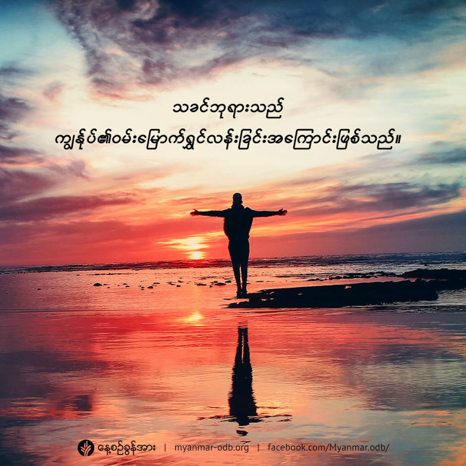 share_odb_2022-10-12-mm share_odb_2022-10-12-mm