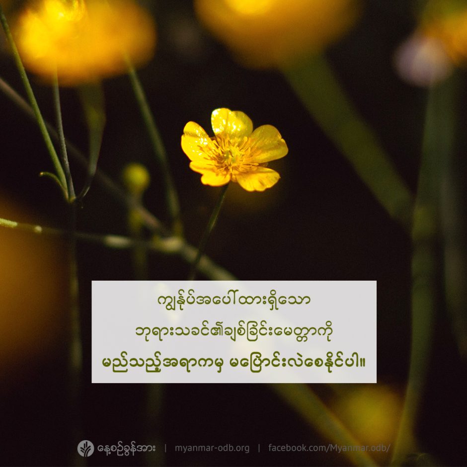 share_odb_2022-10-13-mm share_odb_2022-10-13-mm