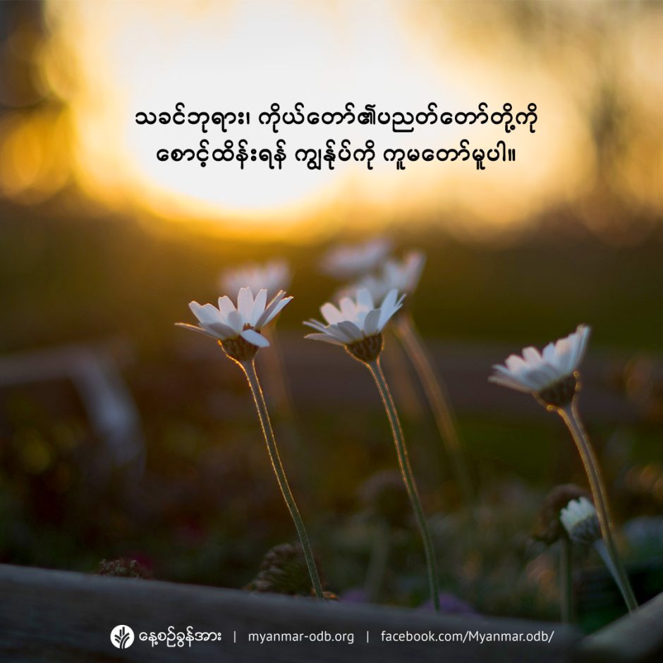 share_odb_2022-10-16-mm share_odb_2022-10-16-mm