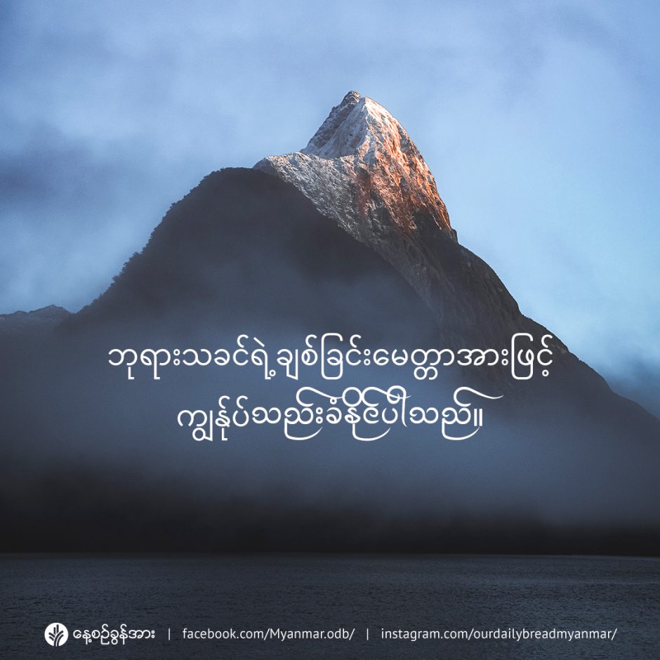 share_odb_2023-01-08-mm