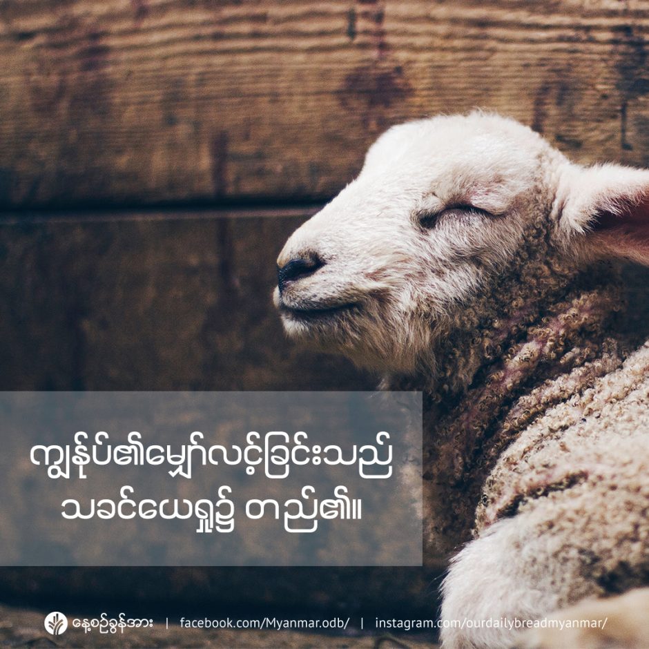 share_odb_2023-01-12-mm