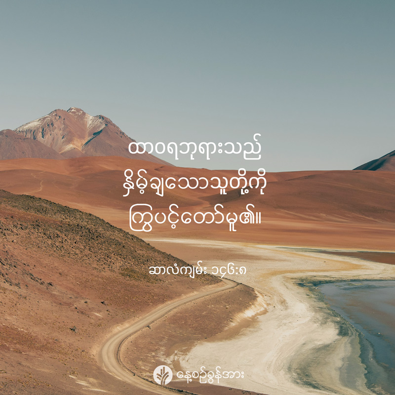 share_odb_2025-08-22-mm share_odb_2025-08-22-mm