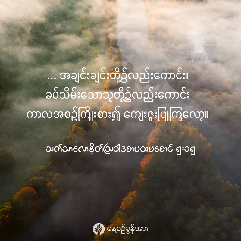 share_odb_2025-08-25-mm share_odb_2025-08-25-mm