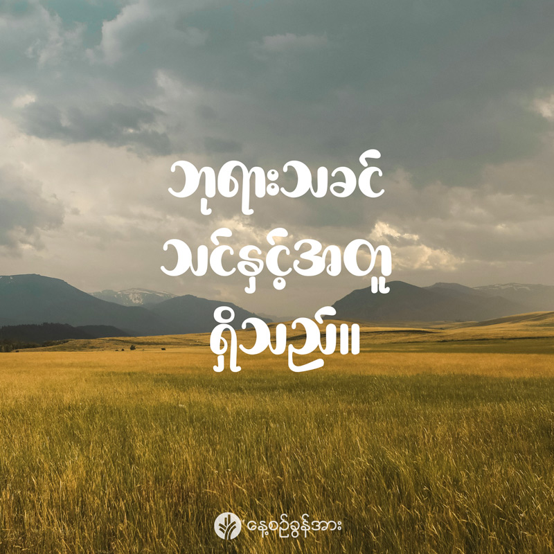 share_odb_2025-08-29-mm share_odb_2025-08-29-mm