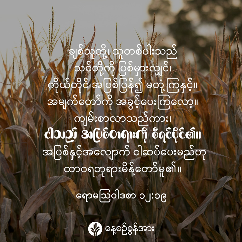 share_odb_2025-09-06-mm share_odb_2025-09-06-mm