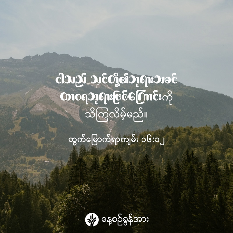share_odb_2025-09-13-mm share_odb_2025-09-13-mm