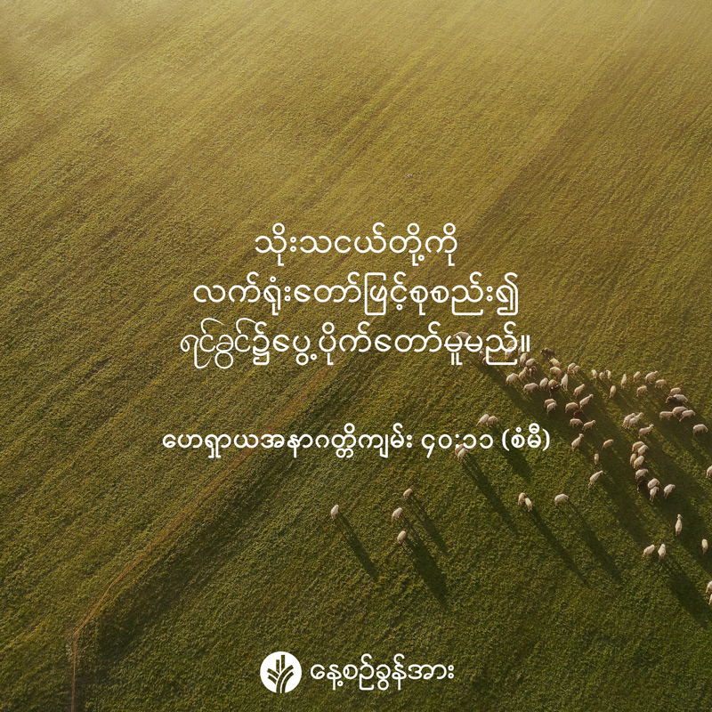 share_odb_2025-09-14-mm share_odb_2025-09-14-mm