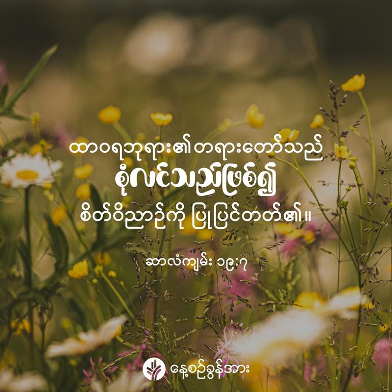 share_odb_2025-09-20-mm share_odb_2025-09-20-mm