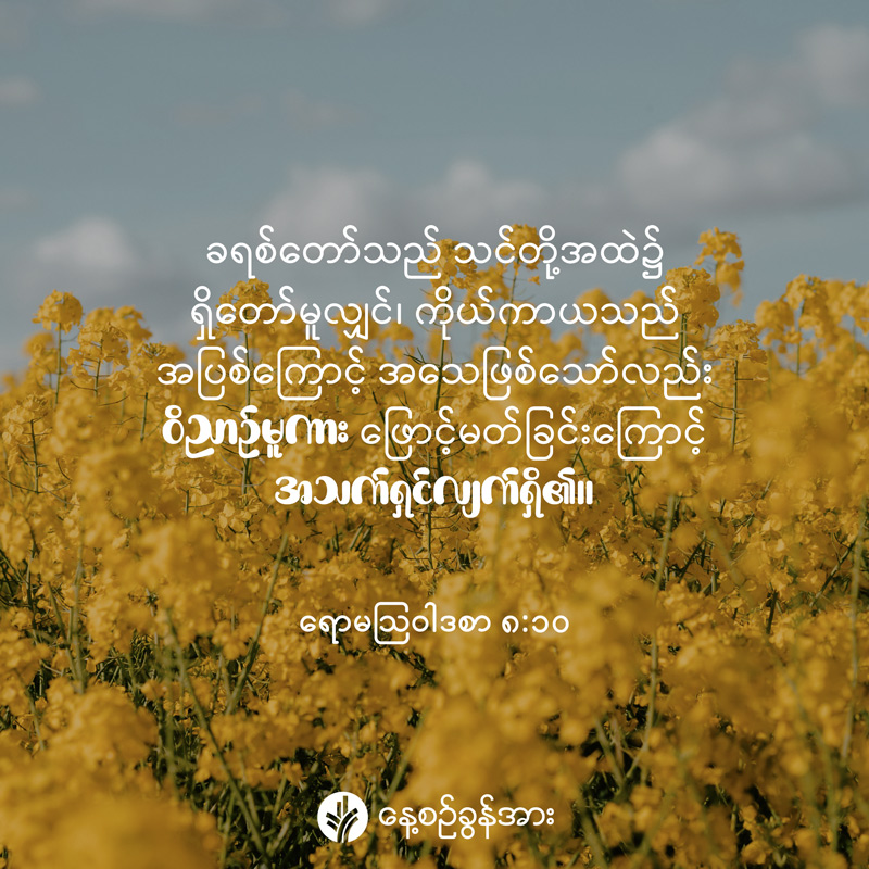 share_odb_2025-09-29-mm share_odb_2025-09-29-mm