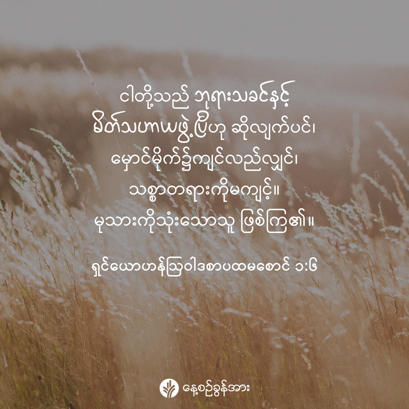 share_odb_2025-10-15-mm