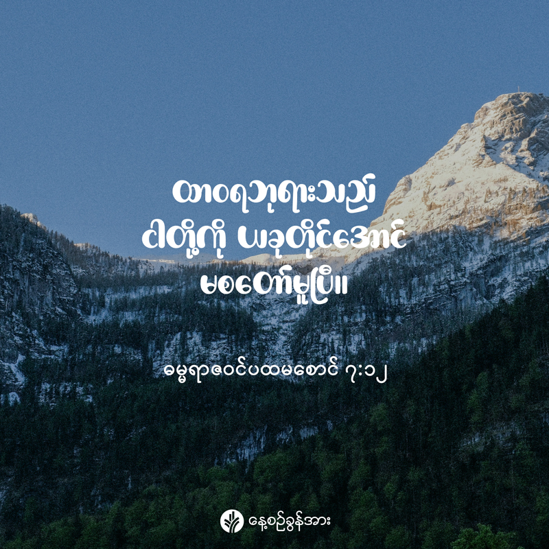 share_odb_2025-11-25-mm