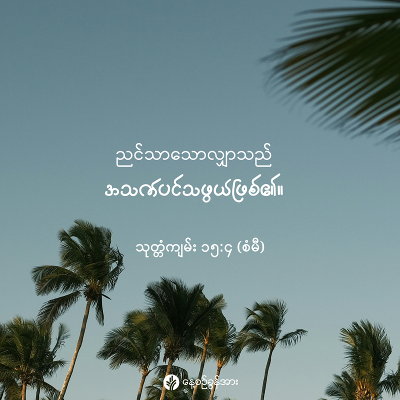 share_odb_2025-12-02-mm