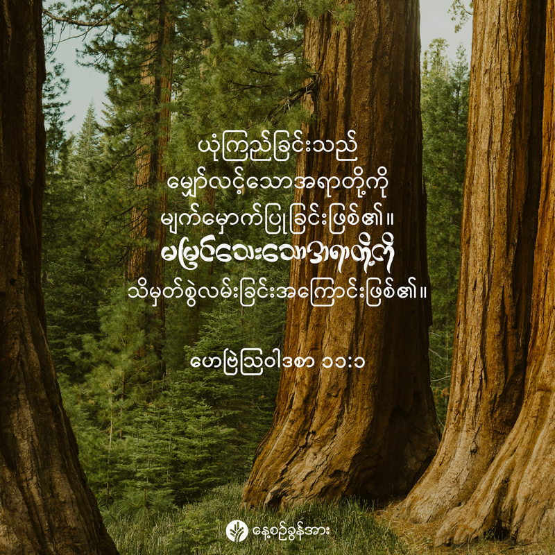 share_odb_2025-12-04-mm