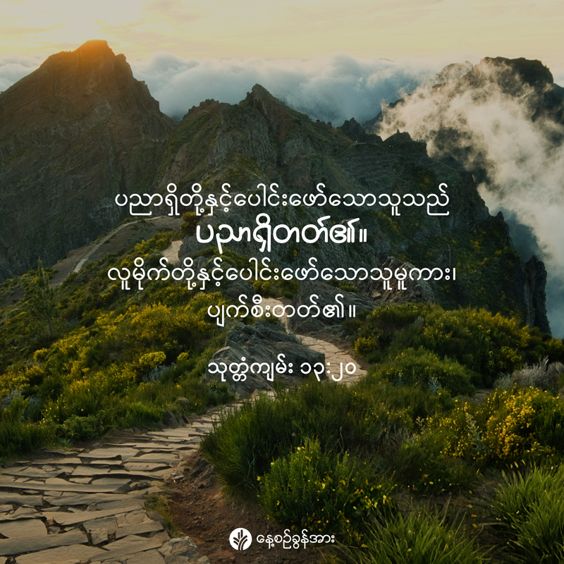 share_odb_2025-12-05-mm