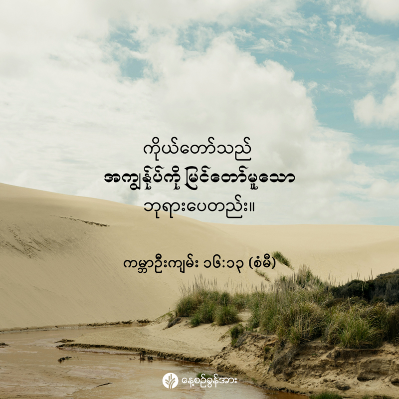 share_odb_2025-12-06-mm