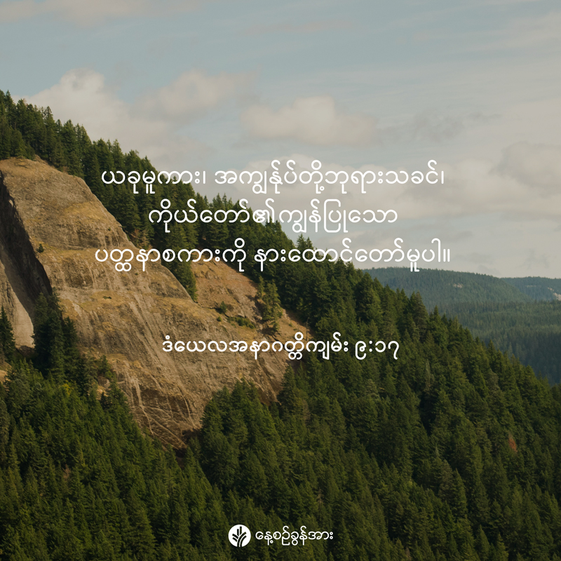 share_odb_2025-12-07-mm