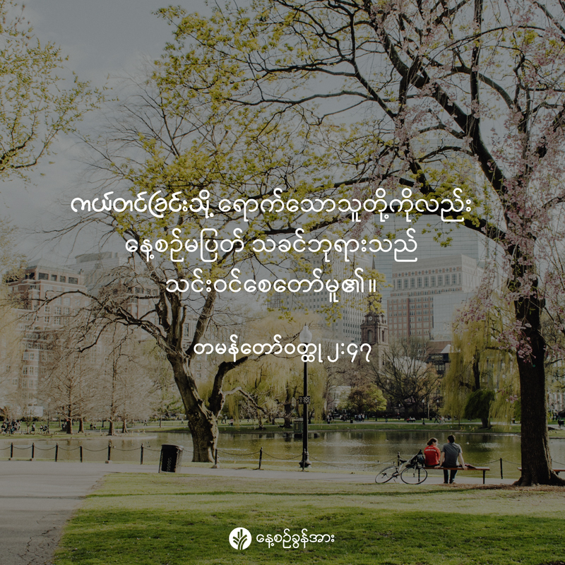 share_odb_2025-12-09-mm