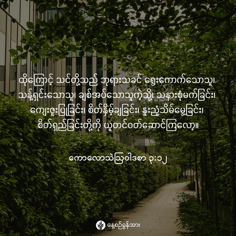 share_odb_2025-12-11-mm