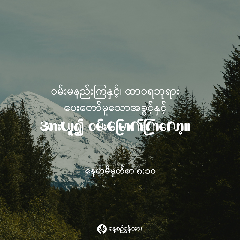 share_odb_2025-12-13-mm