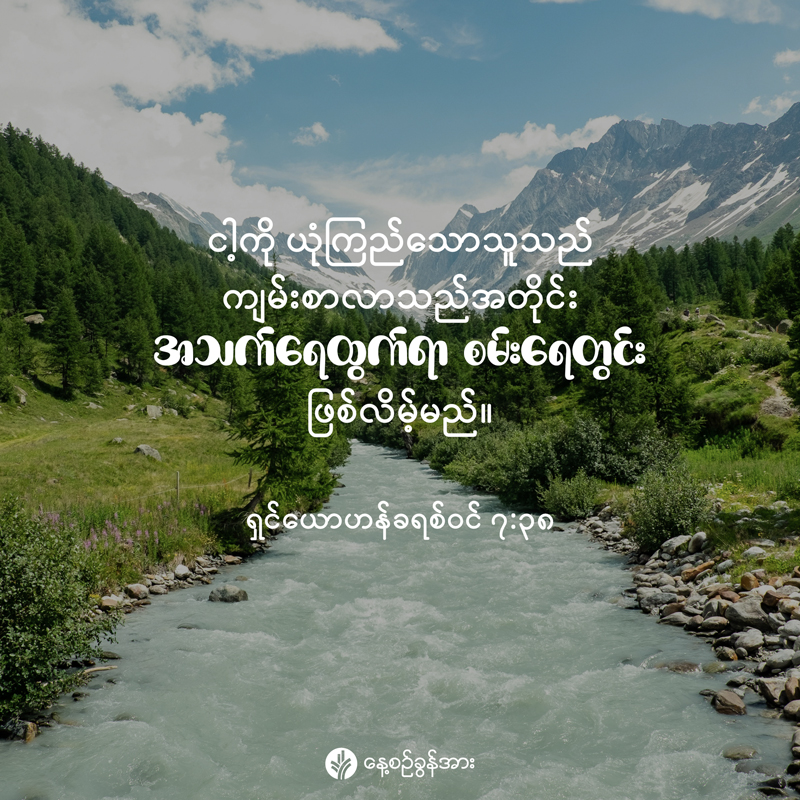 share_odb_2025-12-14-mm