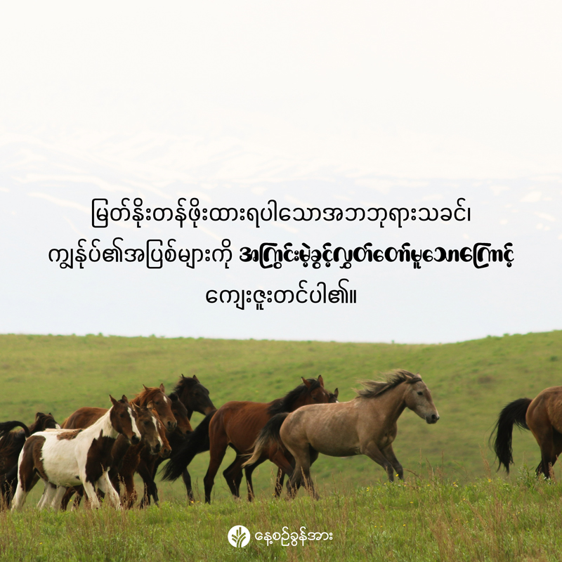 share_odb_2025-12-15-mm