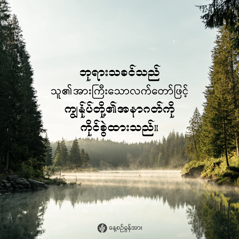 share_odb_2025-12-19-mm