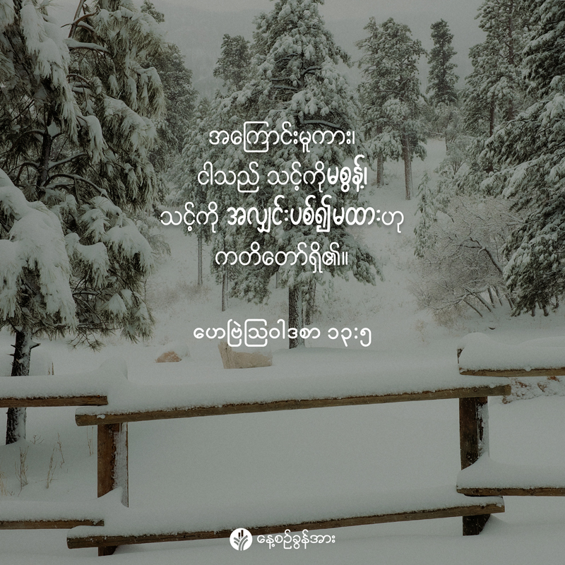 share_odb_2025-12-20-mm