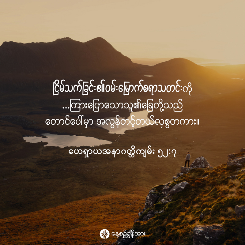 share_odb_2025-12-21-mm