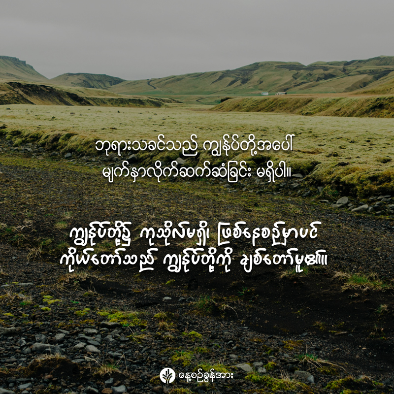 share_odb_2025-12-23-mm