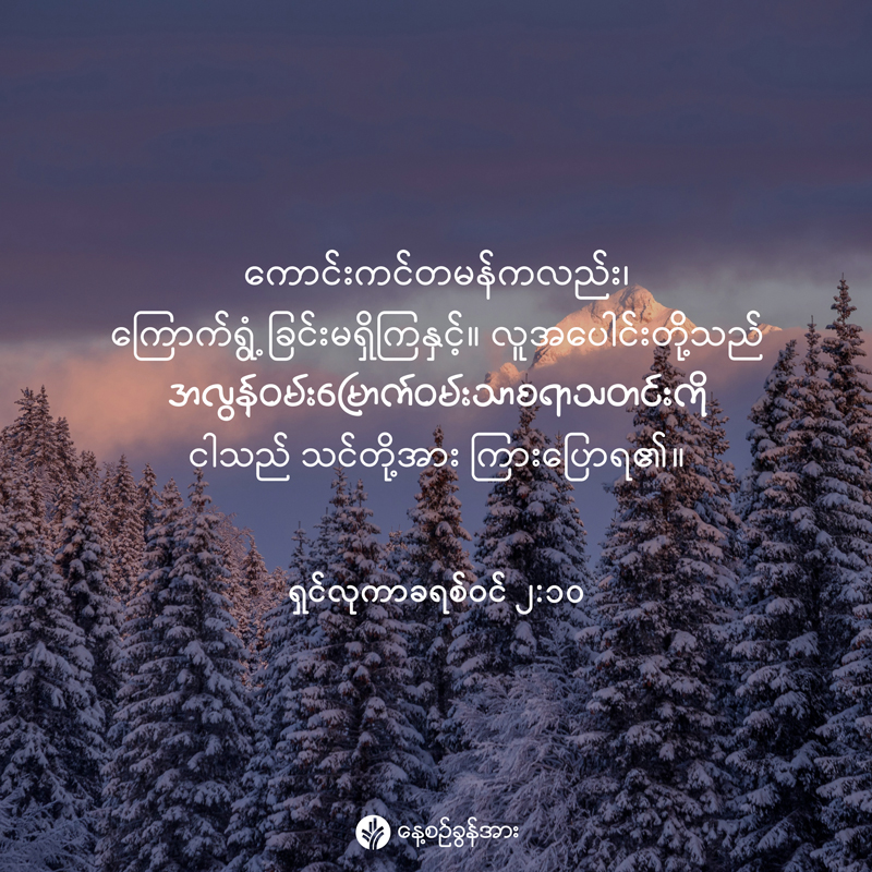 share_odb_2025-12-24-mm