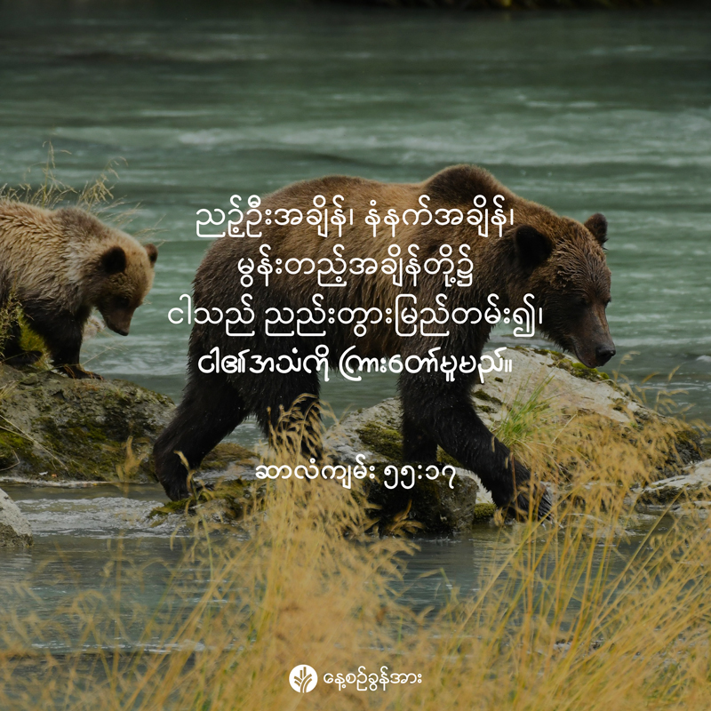 share_odb_2025-12-27-mm