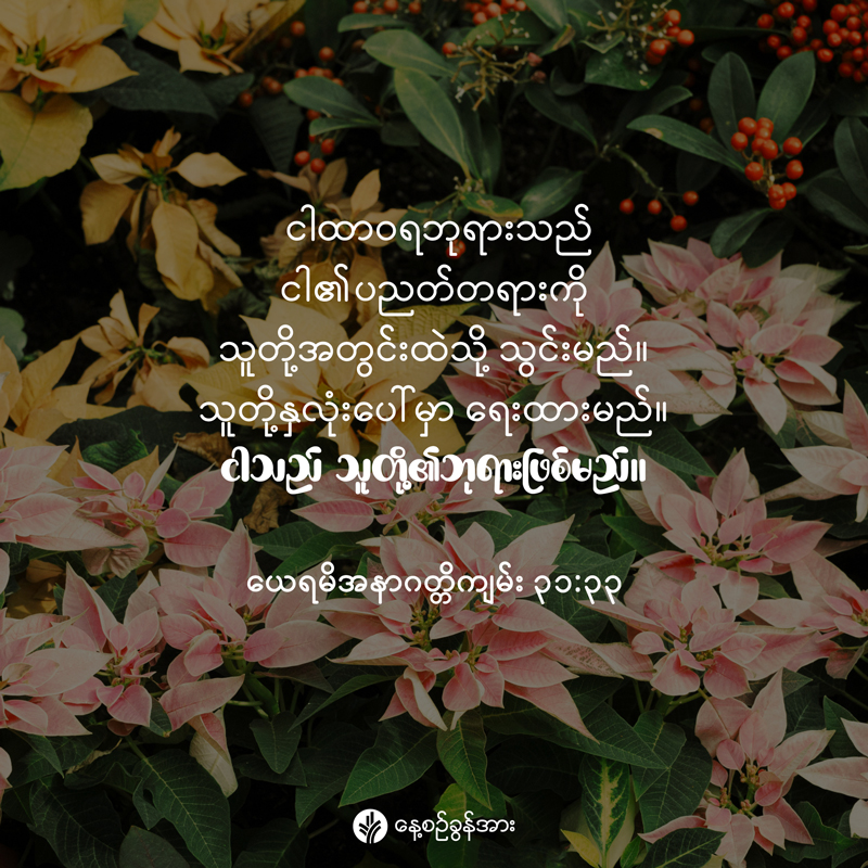 share_odb_2025-12-28-mm