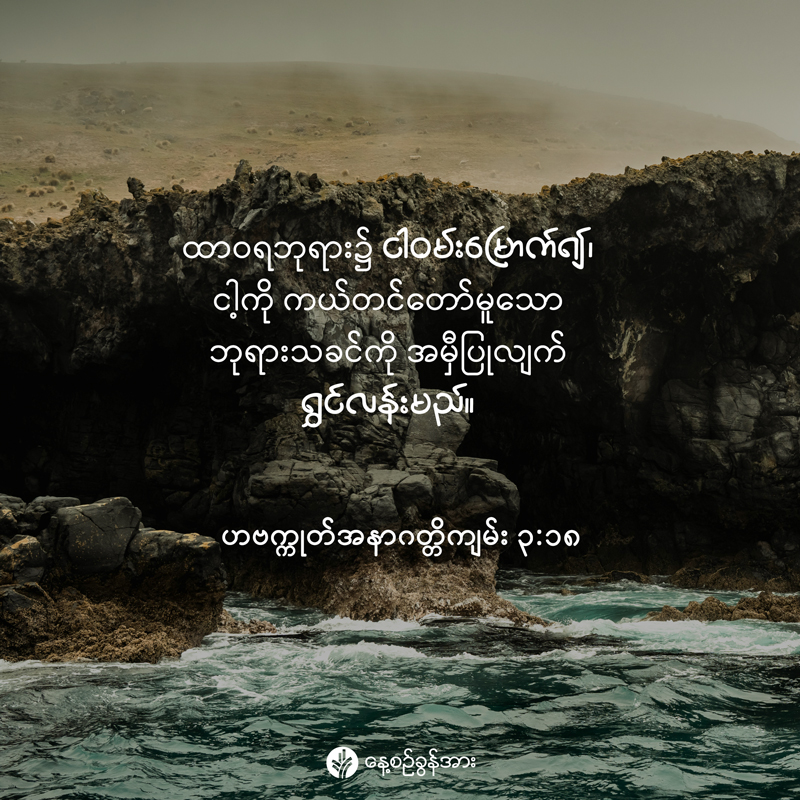 share_odb_2025-12-29-mm