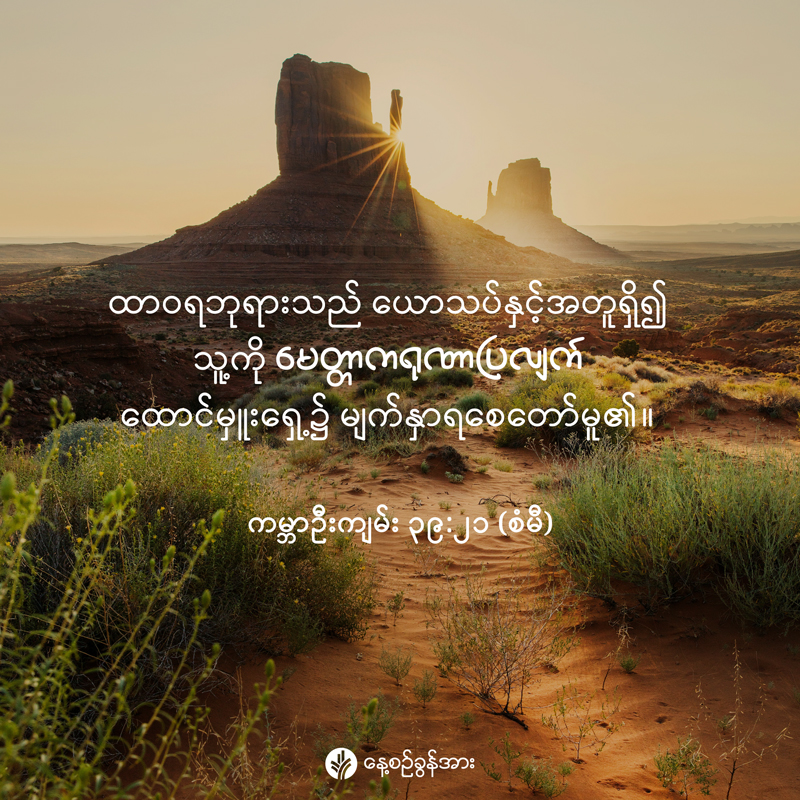 share_odb_2025-12-30-mm