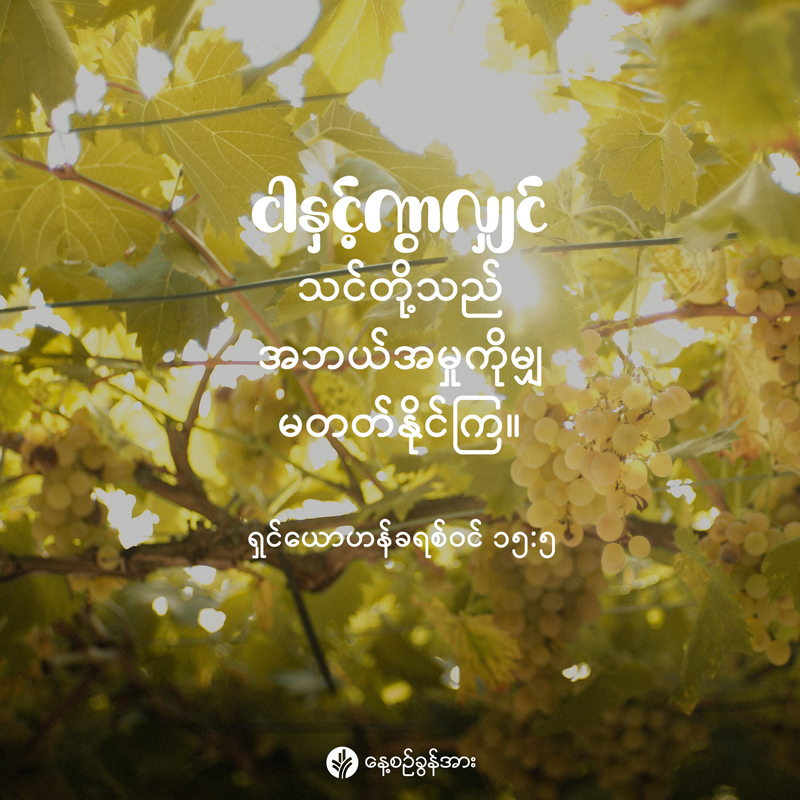 share_odb_2025-12-31-mm