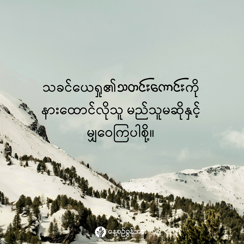 share_odb_2026-01-01-mm