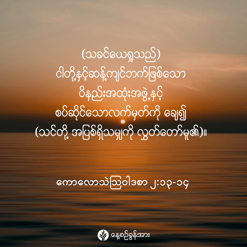 share_odb_2026-01-02-mm