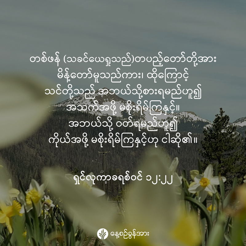 share_odb_2026-01-04-mm