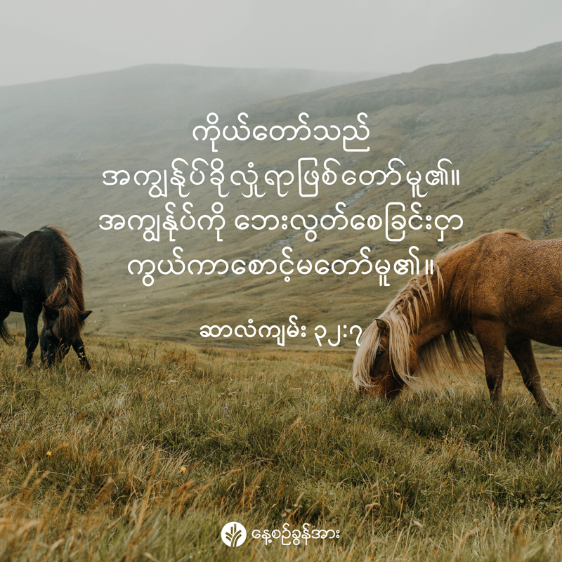 share_odb_2026-01-12-mm share_odb_2026-01-12-mm