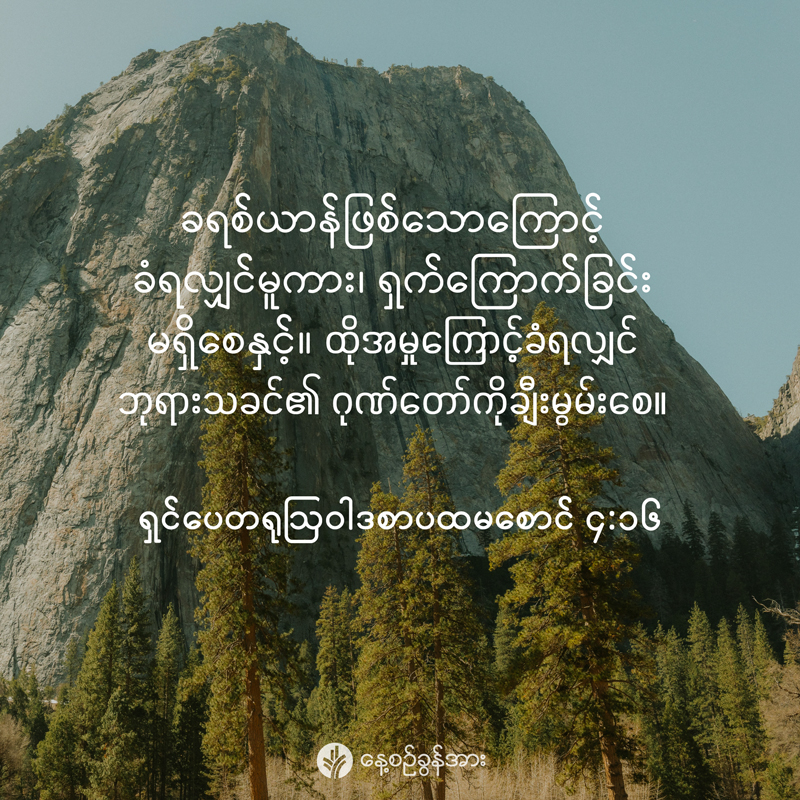 share_odb_2026-01-20-mm