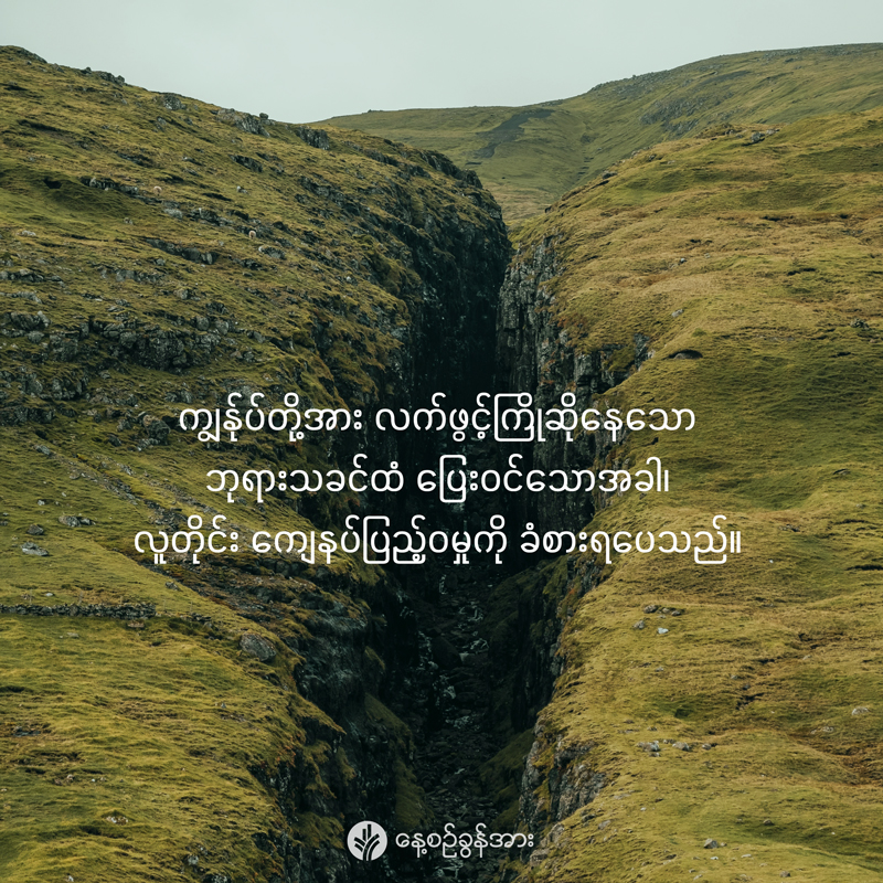 share_odb_2026-01-22-mm