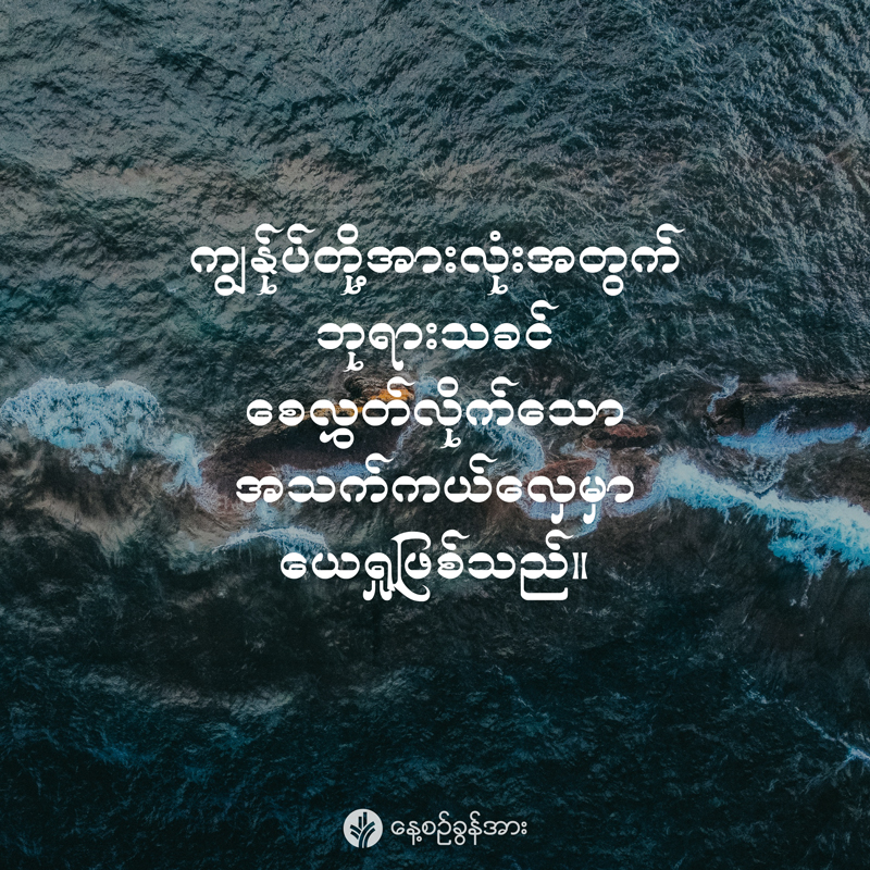 share_odb_2026-01-23-mm