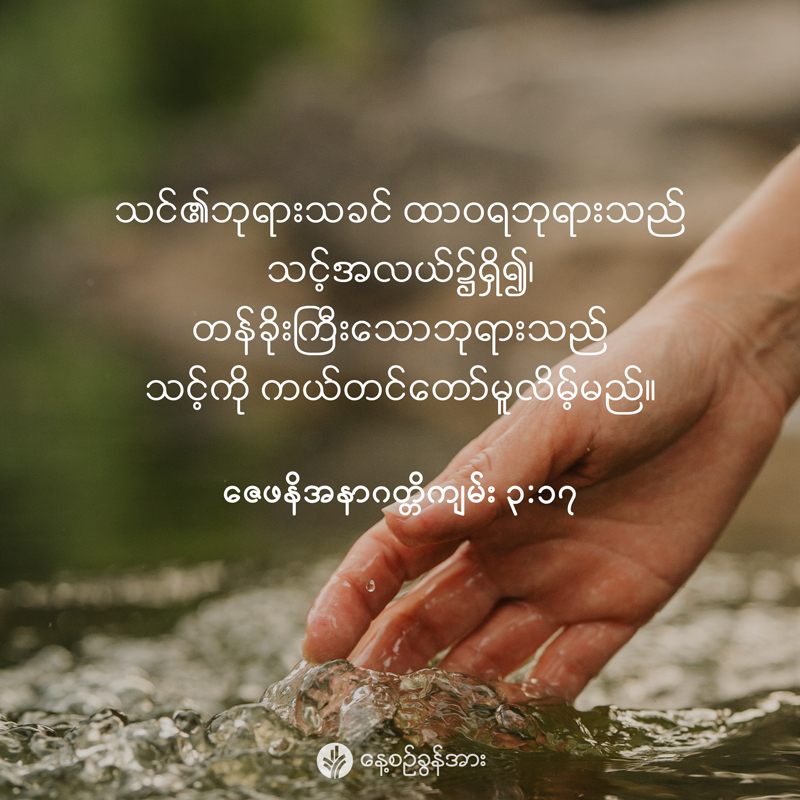 share_odb_2026-01-24-mm